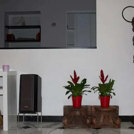 The Artist's House In Apartment *